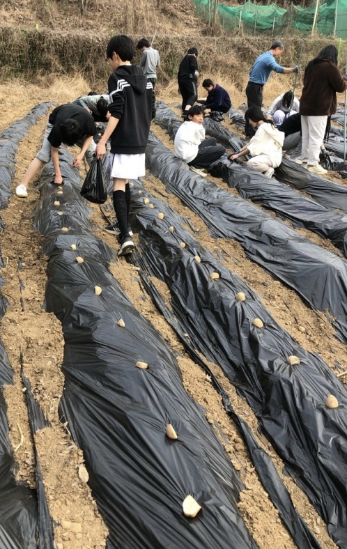 * 직접 파종하고 관리하고 수확의 기쁨까지 경험해 보는 농장 체험 프로그램!