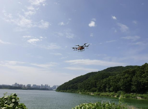 용인특례시는 지난 14일 기흥호수에 드론을 활용해 살조제인 마이팅션 500kg을 살포했다.